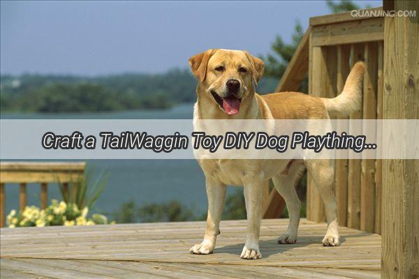 Craft a TailWaggin Toy DIY Dog Playthings for Happy Paws